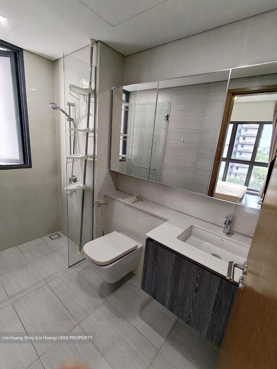 Lakeville (D22), Condominium #523768451